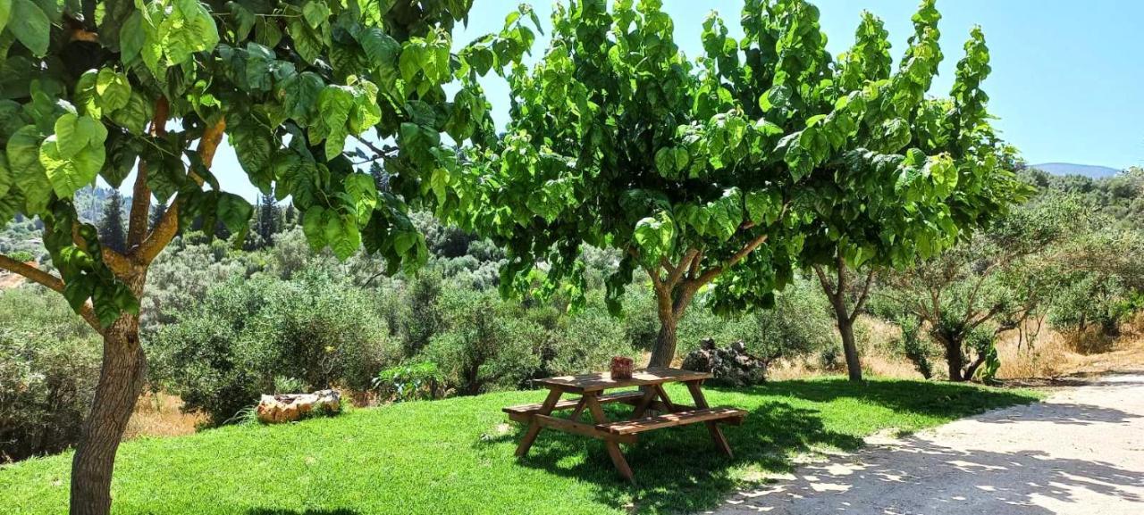 Lily Home_Lefkada ~ Private Country House Kondaraíni Zewnętrze zdjęcie