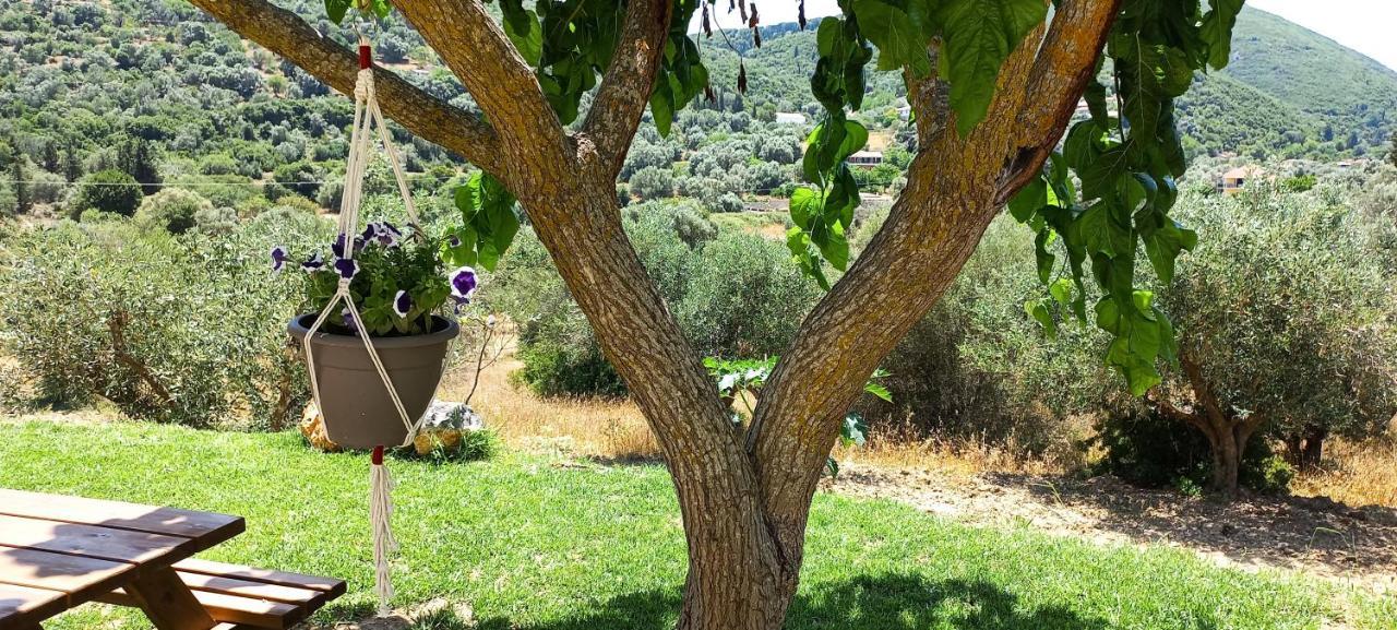Lily Home_Lefkada ~ Private Country House Kondaraíni Zewnętrze zdjęcie