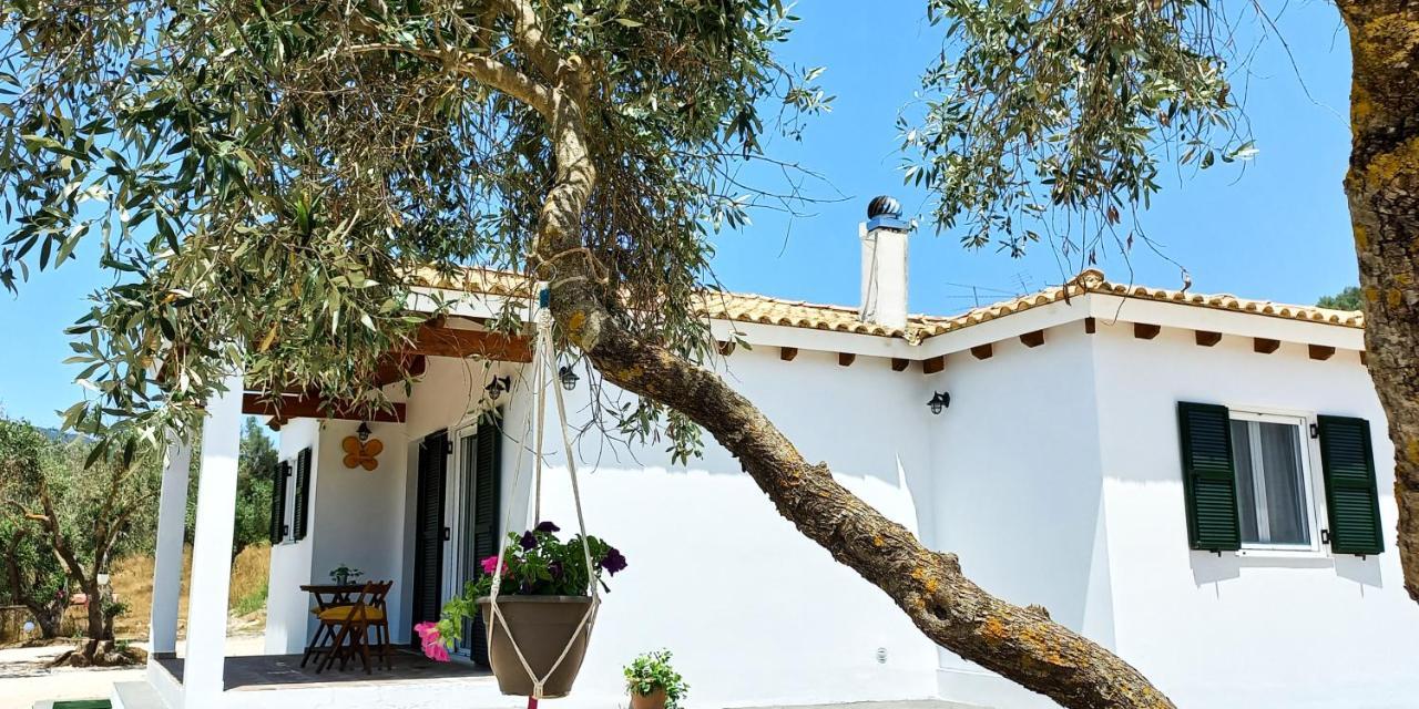 Lily Home_Lefkada ~ Private Country House Kondaraíni Zewnętrze zdjęcie