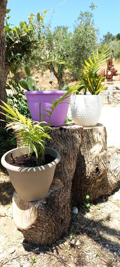 Lily Home_Lefkada ~ Private Country House Kondaraíni Zewnętrze zdjęcie