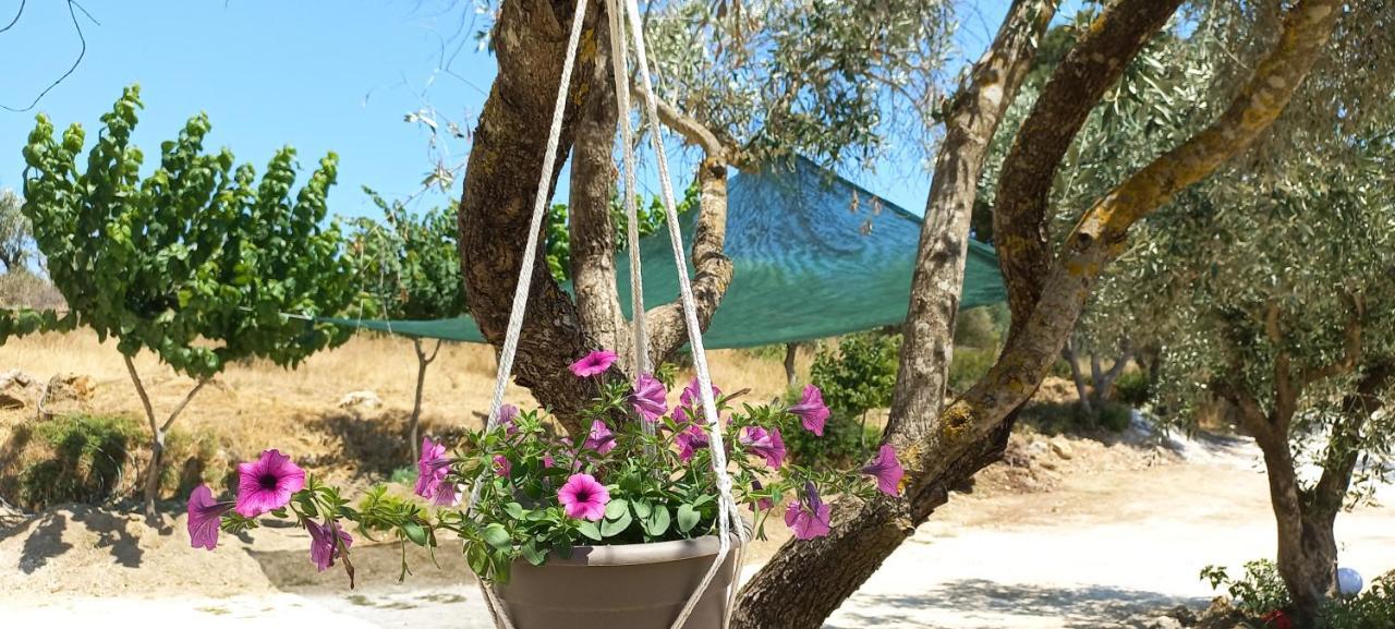 Lily Home_Lefkada ~ Private Country House Kondaraíni Zewnętrze zdjęcie