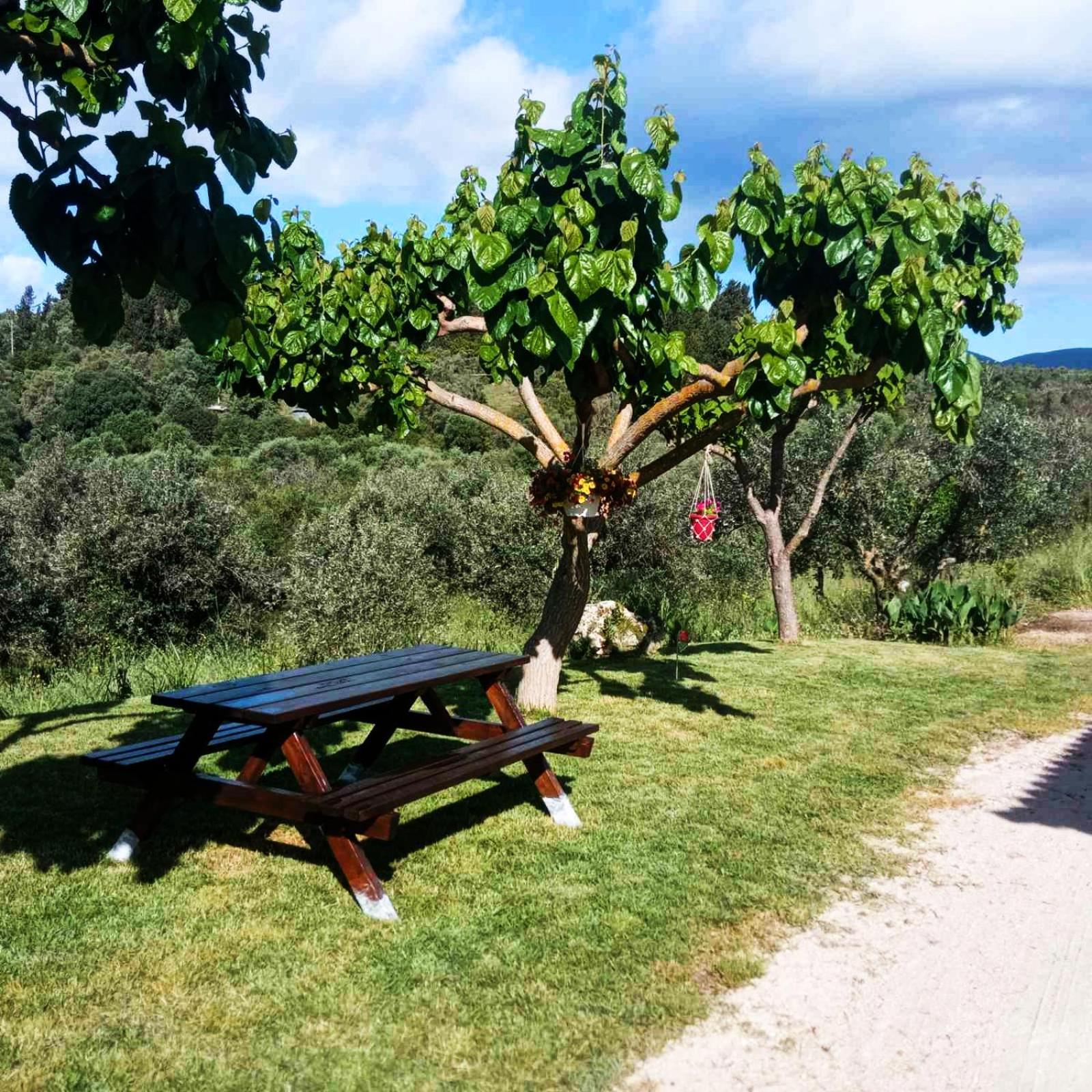 Lily Home_Lefkada ~ Private Country House Kondaraíni Zewnętrze zdjęcie